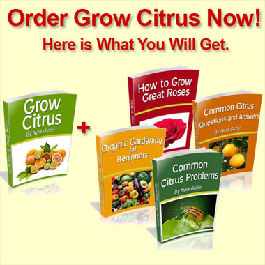 How to Grow Citrus Boos